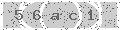 verify code