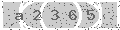 verify code