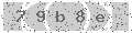 verify code